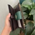 NWT - COACH Phone Wallet In Colorblock Signature Canvas - C2874 Brown/Dark Pine