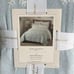 cupcake and cashmere King comforter