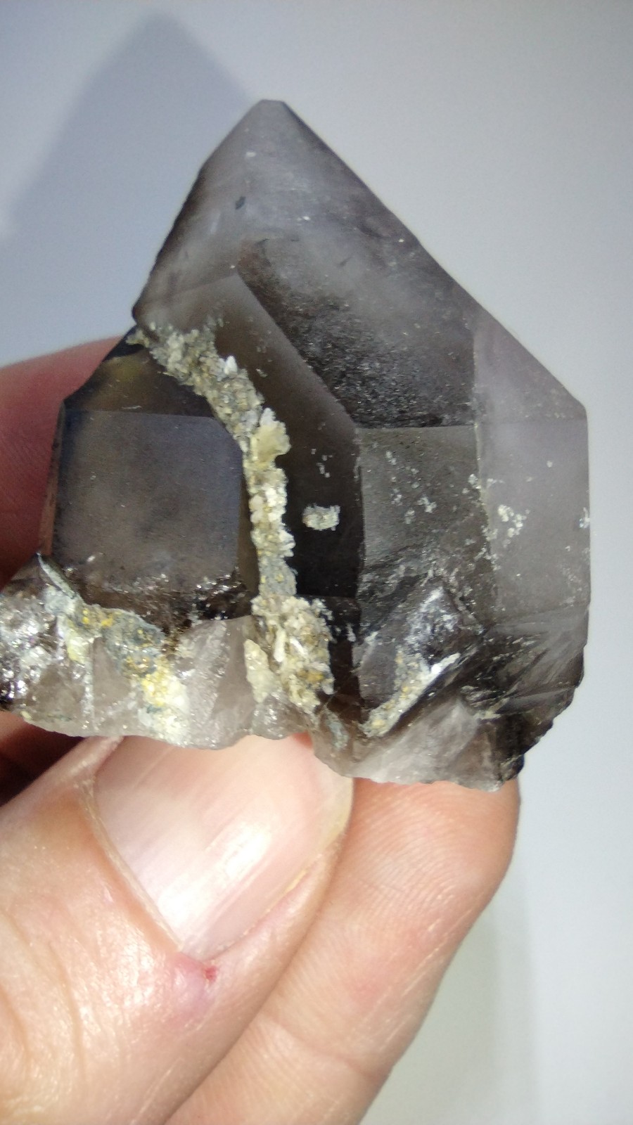 Smoky quartz w/ chlorite + phantoms, Black Rock desert, NV