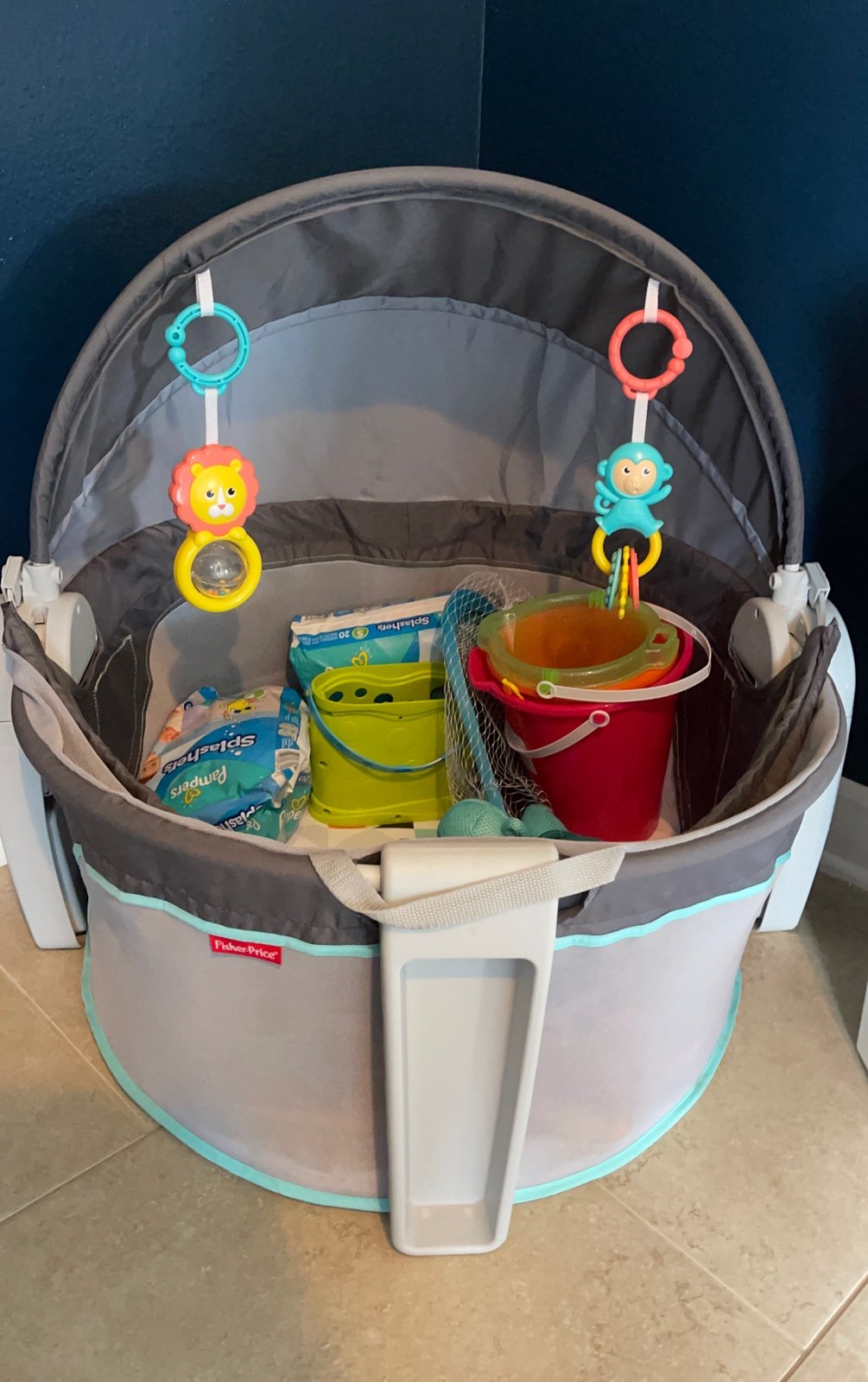Fisher-Price on the go baby dome