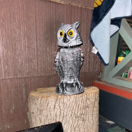 2 Pack Bird Scarecrow Fake Owl Decoy Sculpture, 10.6 Inch Height Golden