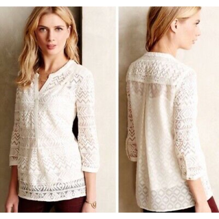 ANTHRO Vanessa Virginia Embroidered Lace Tulle Tunic