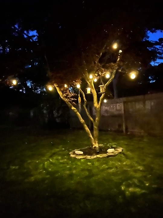 8 Pack Solar Outdoor Lights, Solar Hanging Lights for Christmas