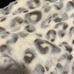 Liz Claiborne Women' Medium Fleece Long Sleeve Robe NWT Snow Leopard