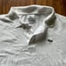 Lacoste Polo Shirt