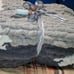 Chunky knit blanket