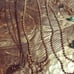 Vintage Assorted Silver Necklaces Untested Different Collectible Styles 14
