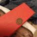 1893 Indian Head cent mint error