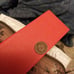1893 Indian Head cent mint error