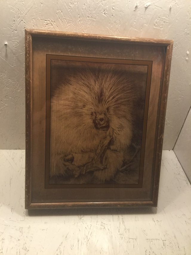 1976 Lucid Lines Porcupine Art Glass Pic