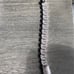 Braclet