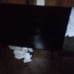 Flat screen tv