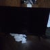 Flat screen tv