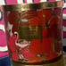 Bath and Body Works Candle Bundle{ Tropical 2023}