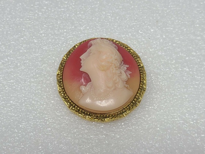Vintage Left Facing Cameo Shell Brooch