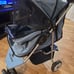 Top paw stroller