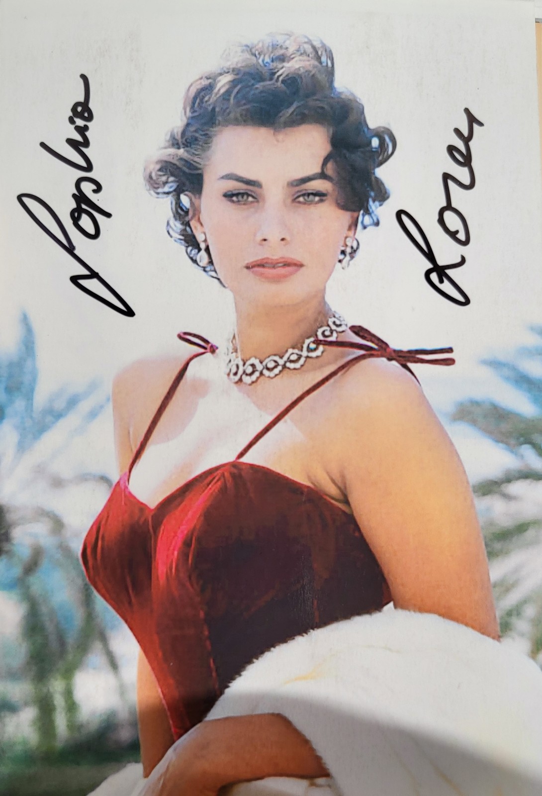 SOPHIA LOREN AUTOGRAPHED COLOR PHOTO!!! - LEGENDARY ACTRESS & MODEL!!!