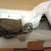 TOAUTO Portable Intelligent Upgraded Handheld Inkjet Printer HP-003 with 3.7 ...