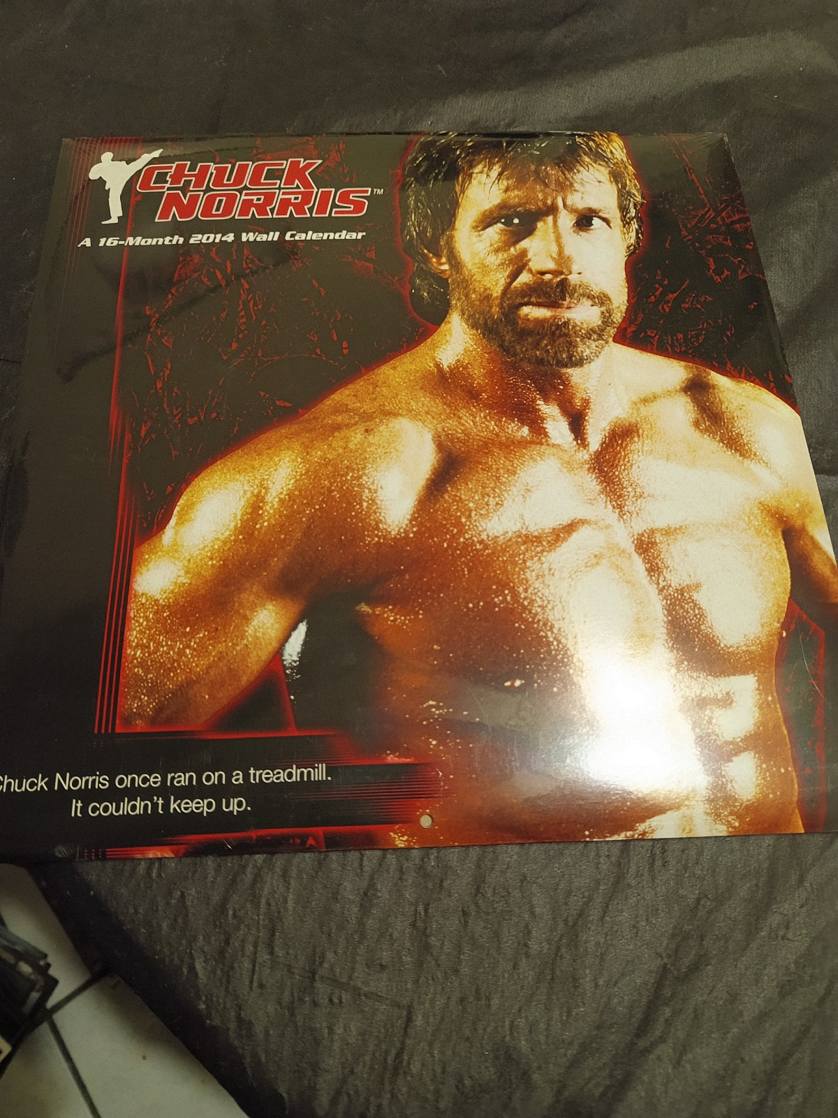 Chuck Norris 16 Month 2014 Wall Calendar Brand New In Plastic Rare Lowest Price