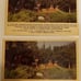 1965 Walt Disneyland Donruss Trading Cards Lot of 10 Puzzle Backs Amusement Park