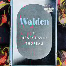 Walden - Ralph Waldo Emerson - alchemy metaphysical pagan esoteric occult