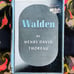 Walden - Ralph Waldo Emerson - alchemy metaphysical pagan esoteric occult