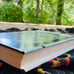 Walden - Ralph Waldo Emerson - alchemy metaphysical pagan esoteric occult