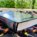 Walden - Ralph Waldo Emerson - alchemy metaphysical pagan esoteric occult