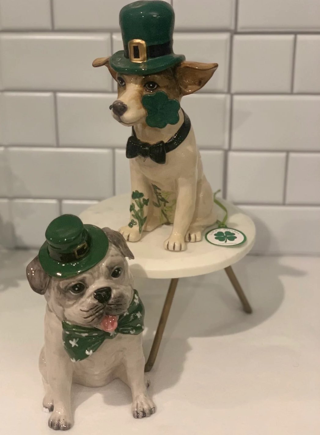 outlet ST CLAYWORKS SKY BLUE PATRICKS BUNDLE DOG DAY Home outlet ST CLAYWORKS SKY BLUE PATRICKS BUNDLE DOG DAY Home
