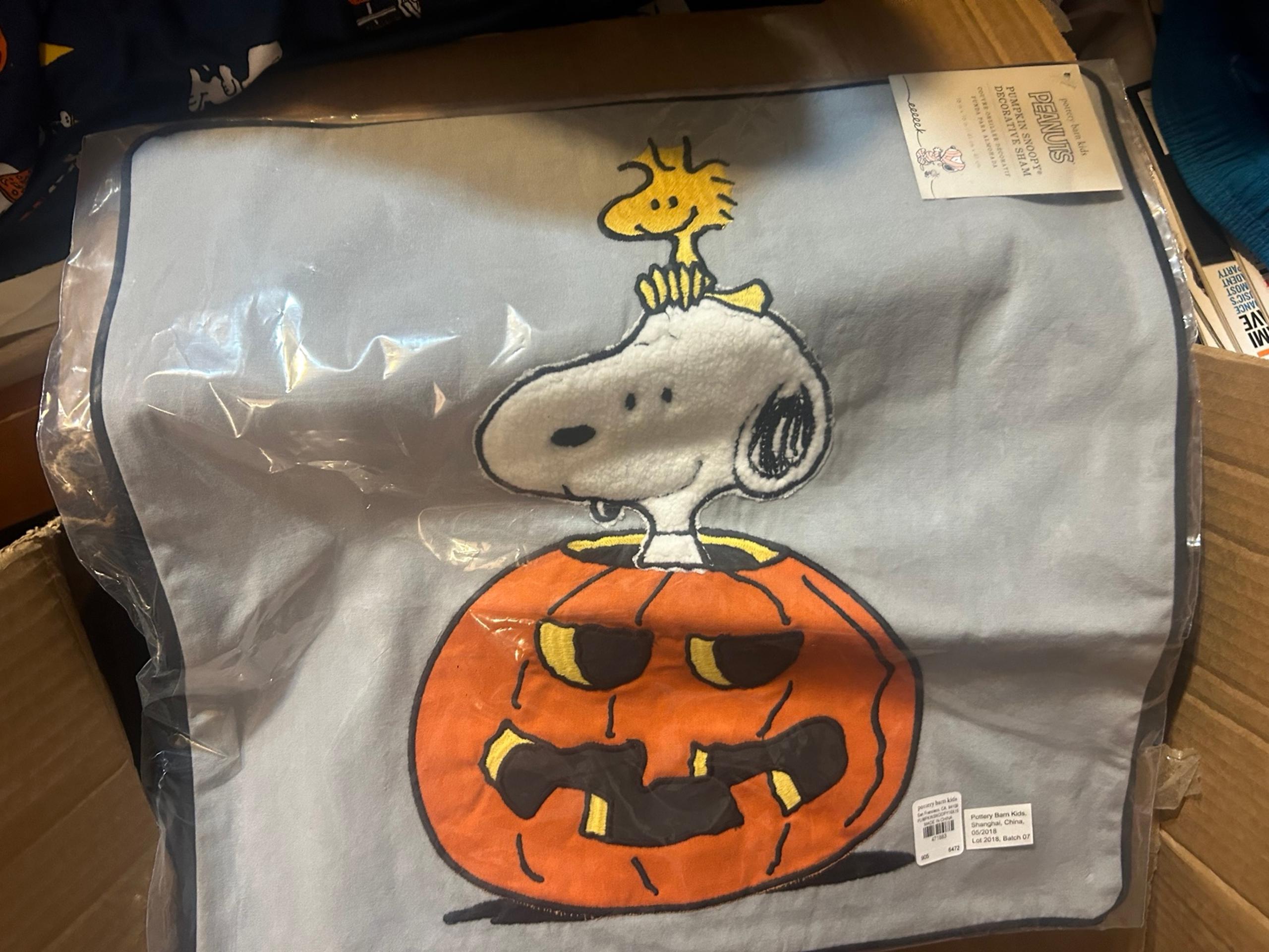 Pottery barn kids peanuts pumpkin decorative pillow sham 16 x 16 snoopy new