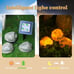 Solar Rock Lights 4-Pack | Auto-Dimming & 8H Runtime