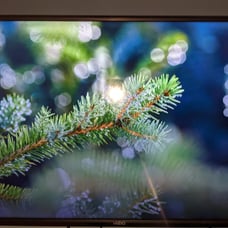 Vizio Smart TV (about 32') (no shipping)