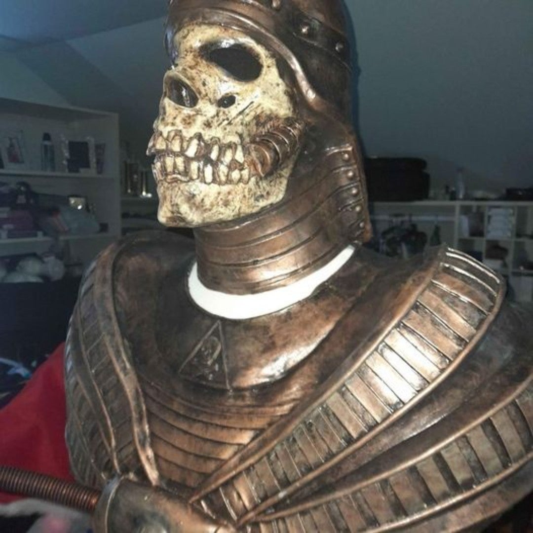 Halloween Skull Two-piece Mask Adult Size