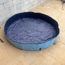 Pool Dog pool/ kids pool/pond