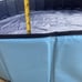 Pool Dog pool/ kids pool/pond