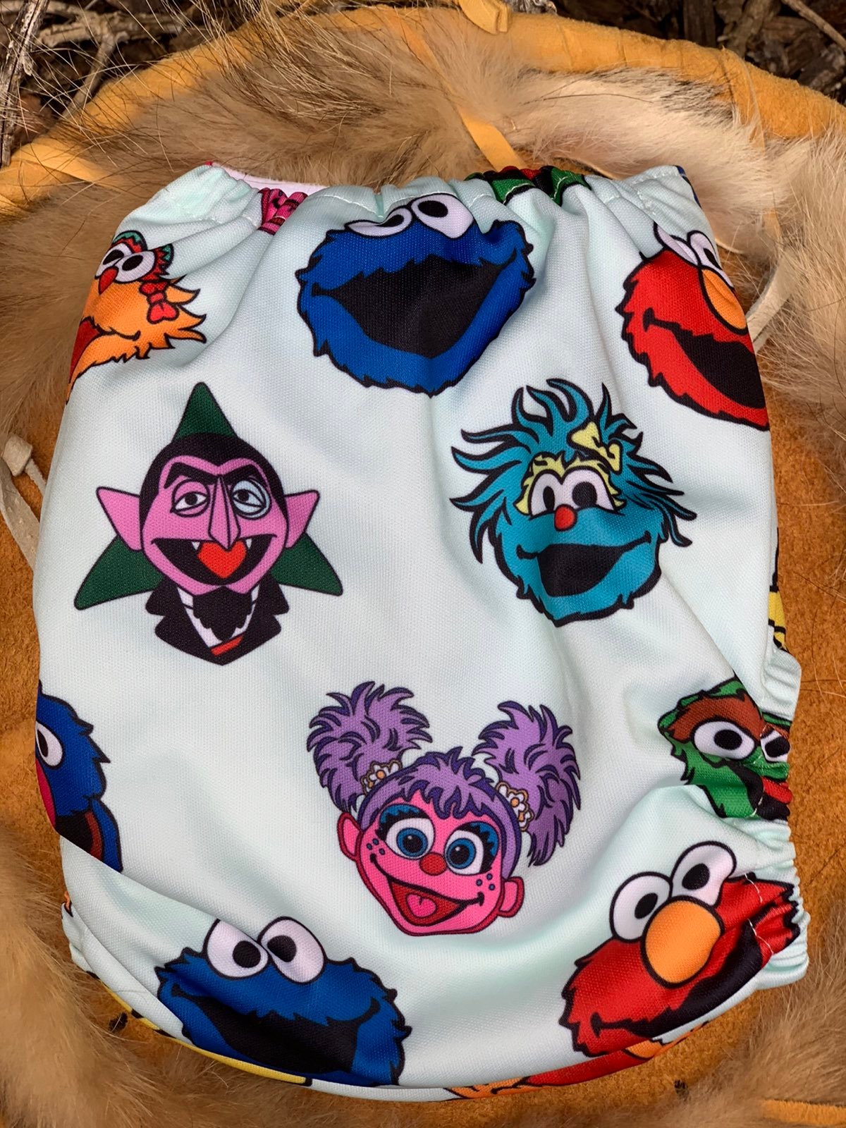 ❤️HB Cloth Diaper SESAME STREET