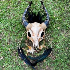 Animal Skull Horned Feather Goat Mask