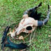 Animal Skull Horned Feather Goat Mask