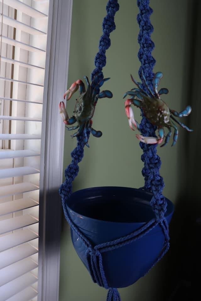 Hanging planter indoor, Crab Planter