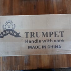 Yasisid Standard Brass Trumpet Gold Soft Case