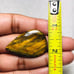 Green Tiger Eye Gemstone Cab-GTEL-18