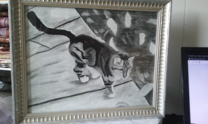 Cat drawing