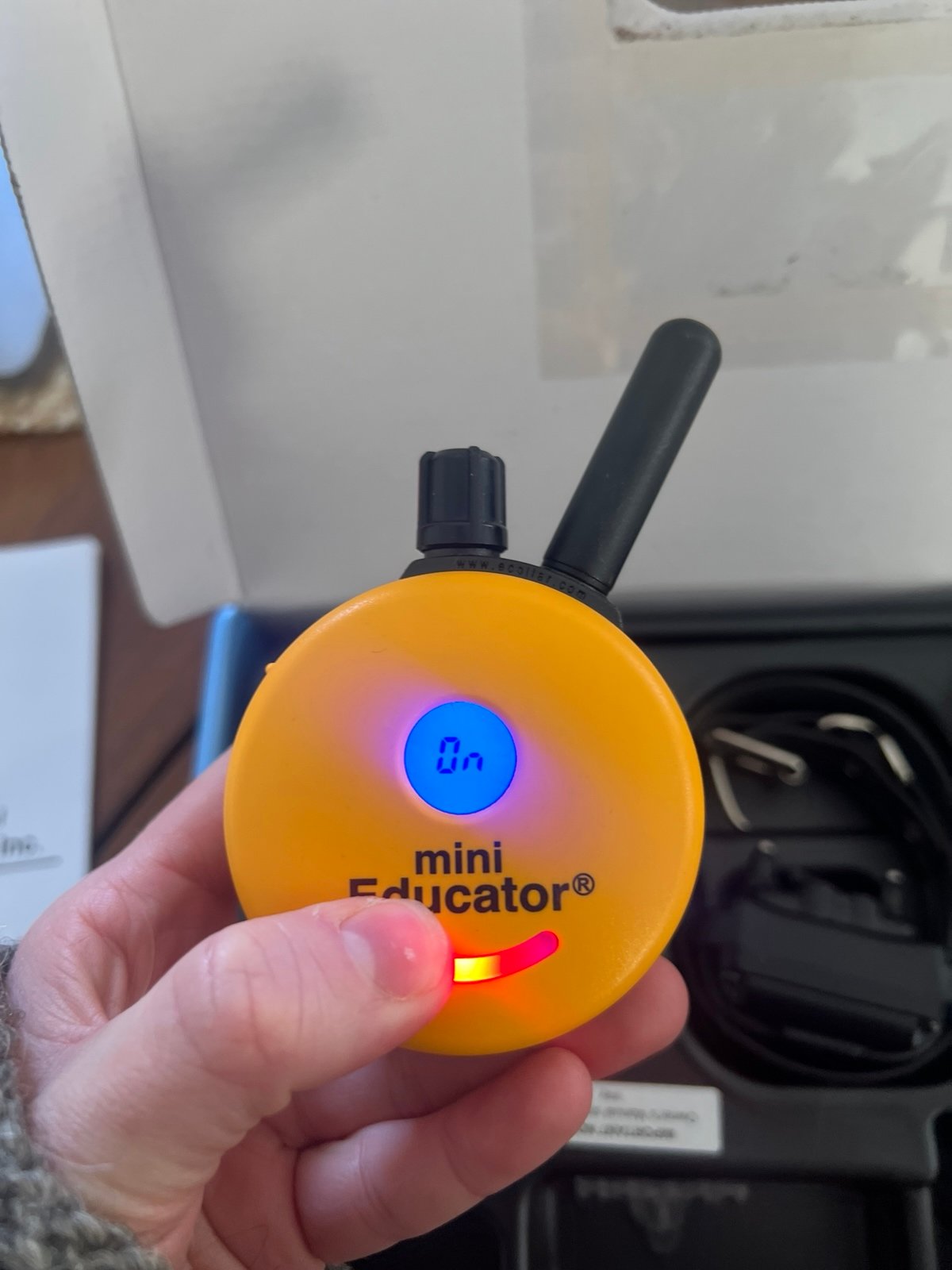 mini educator