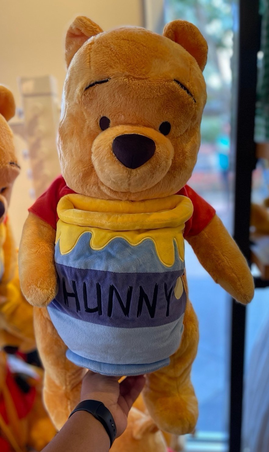 Disney Parks Winnie the Pooh Backpack