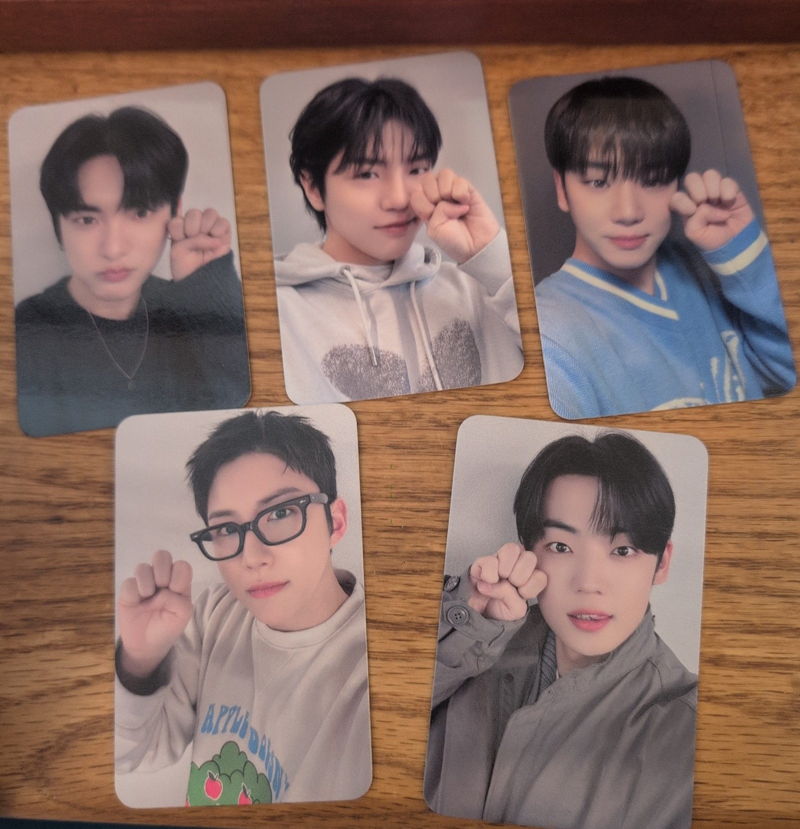 A.C.E Pinata Music Plant photocard set
