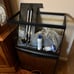 20 gallon fish tank