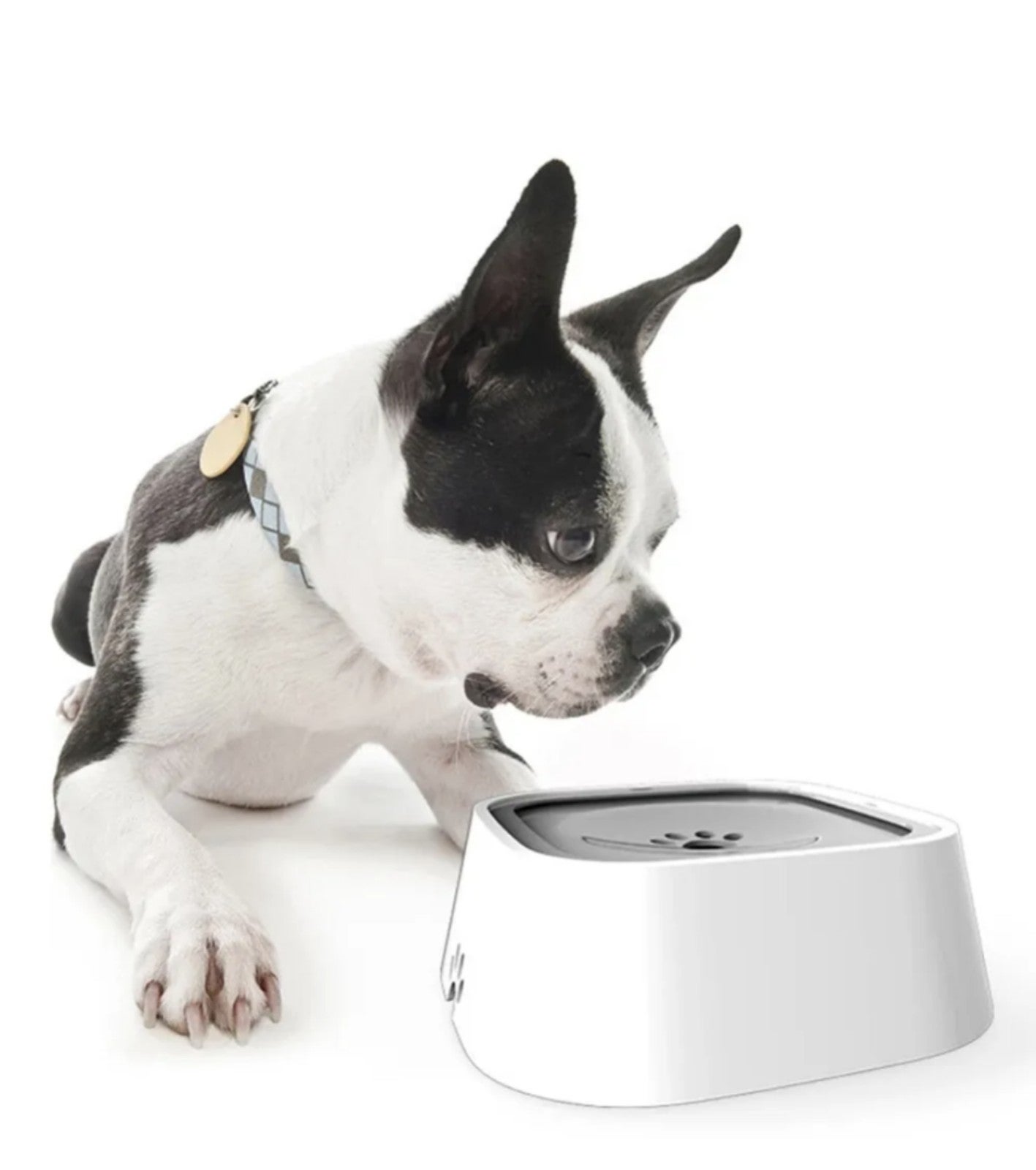 Pet Dog Water Bowl Slow Water Feeder Dish Anti Spill Splash Proof for Cat 35oz