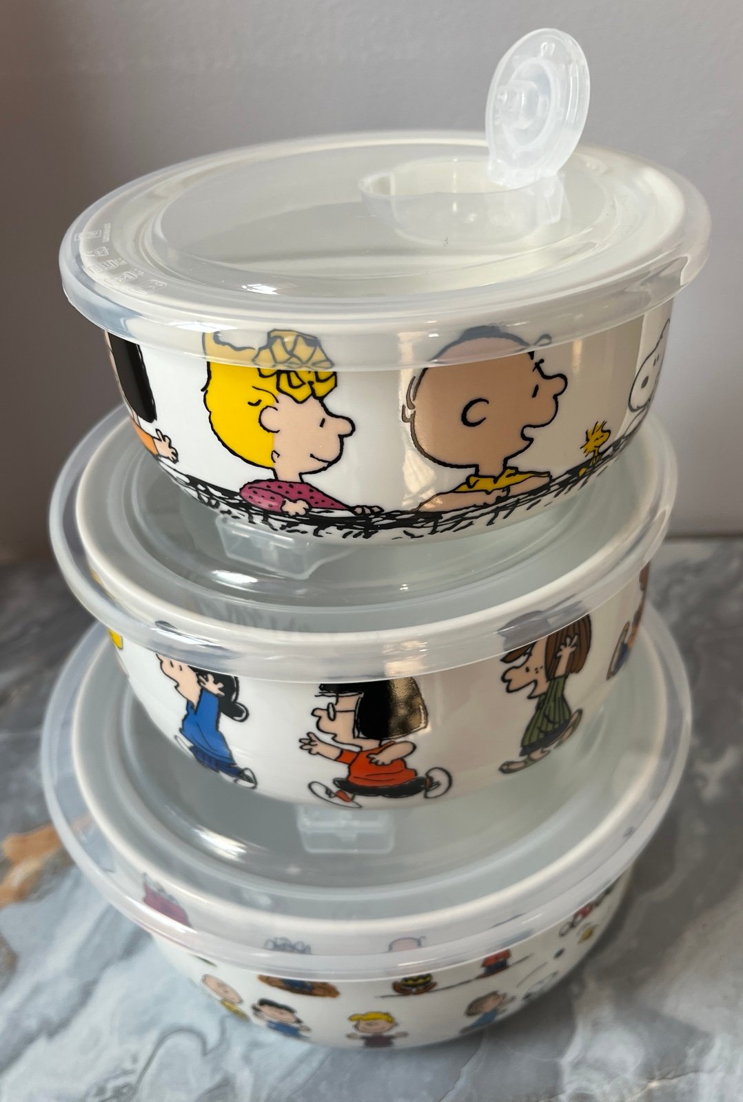 Food Storage Bowls