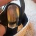 DSquared Leather Snakeskin Platforms Wedges Heels Sandals Rare