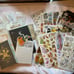 Bundle for cholecookie